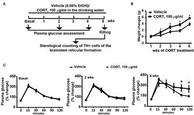 Chronic treatment with corticosterone increases the number of tyrosine hydroxylase-expressing cells within specific nuclei of the brainstem reticular formation